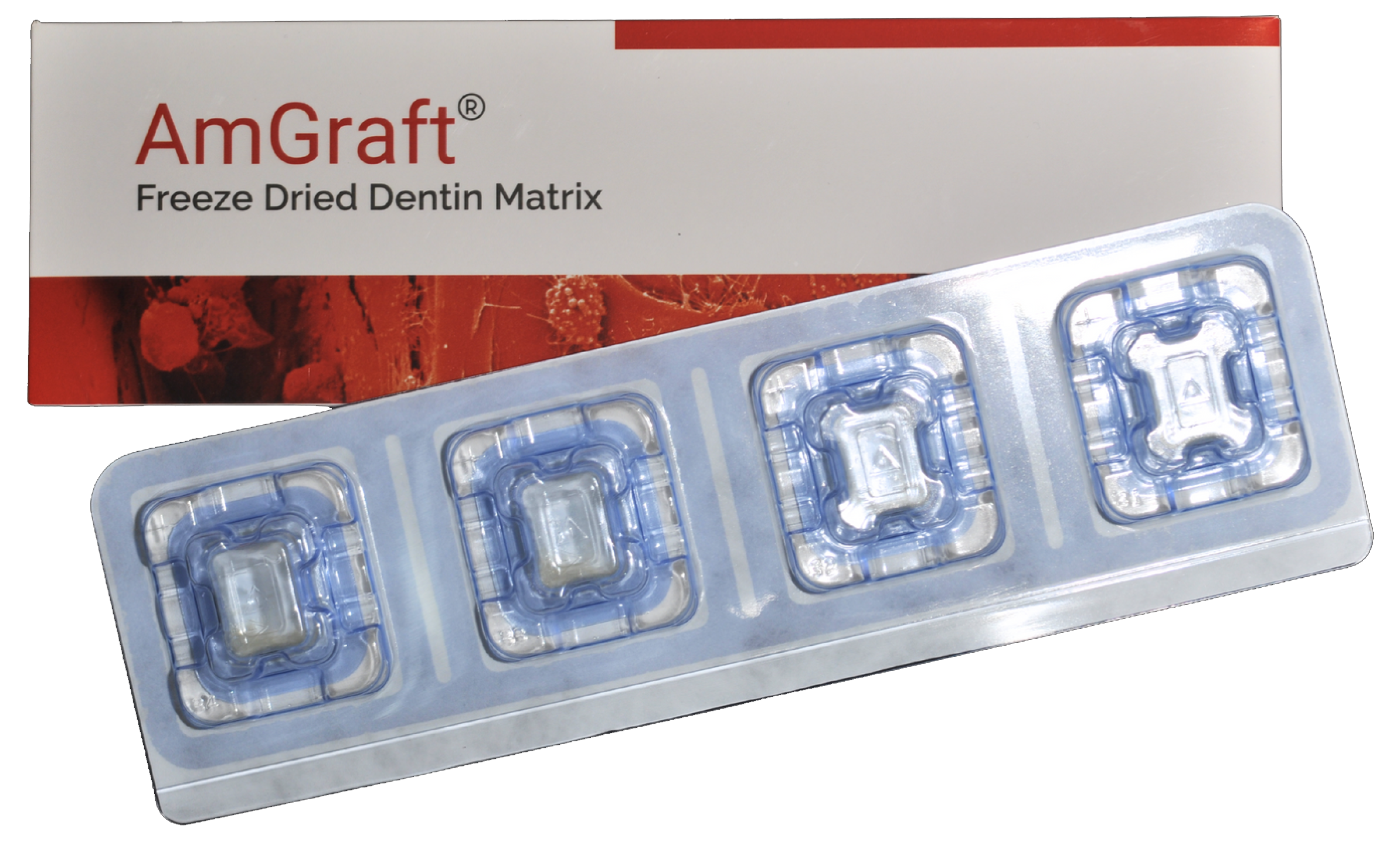 amgraft product